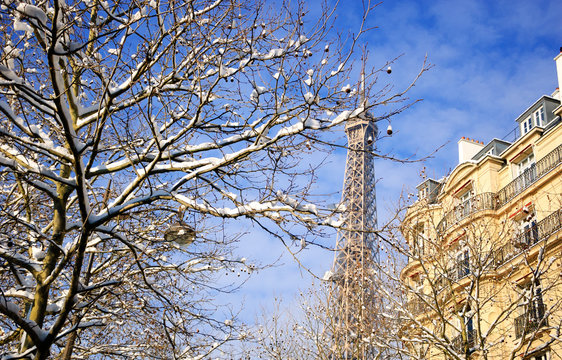 Paris under snow. Eiffel tower. Snowy park.