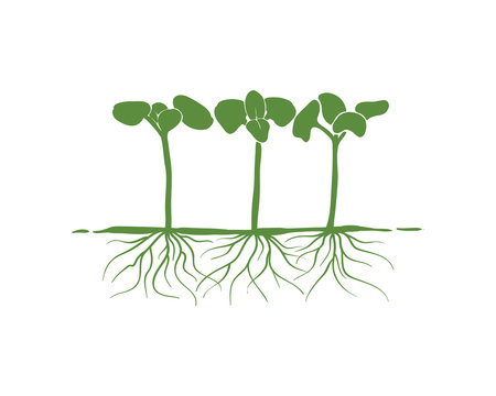 Green Sprout Seed Growth with Roots Sign Symbol logo vector