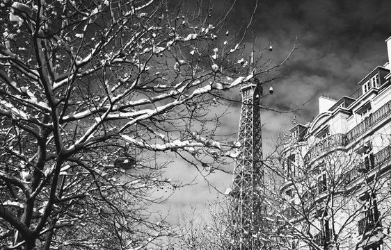 Fototapeta Paris under snow. Eiffel tower. Snowy park. Black and white photo.