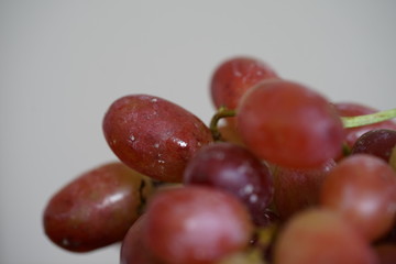 Weintrauben, rot
