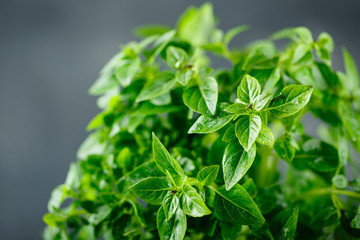 Fresh Leaves of basil