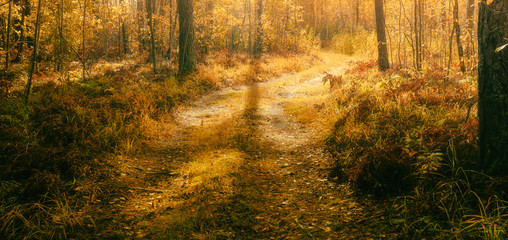 nice sunny landscape