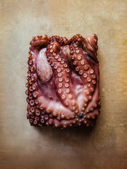 square octopus