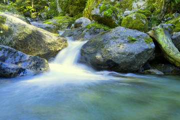 Mountain stream, water flowing over rocks in a little creek in the forest