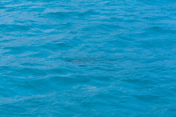 Obraz premium 極上 休暇 有給 老後 移住 南国 泊まる バケーション