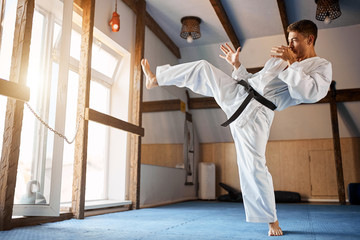 black belt karate fighter training hight kick indoor