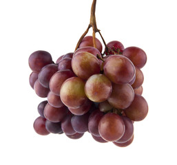 Fototapeta premium grapes isolated on white background. Ideal for packing.