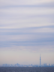 Obraz premium 東京上空を飛ぶ旅客機