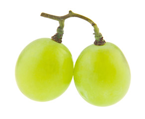 green grapes isolated on white background. Ideal for packing.