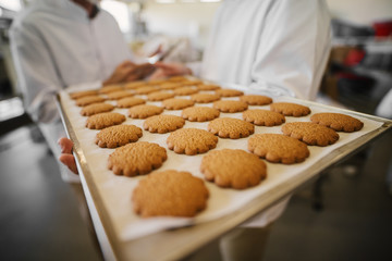 Close up of fresh cookies on big tray in food factory. Blurred picture of two male employees in sterile clothes talking in background.