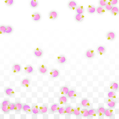 Vector Realistic Pink Petals Falling on Transparent Background.  Spring Romantic Flowers Illustration. Flying Petals. Sakura Spa Design. Blossom Confetti.