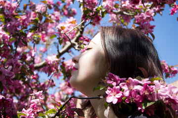 Fototapeta premium Woman's face and pink apple tree flower