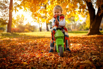 Smiling boy having fun on bikes in autumn park