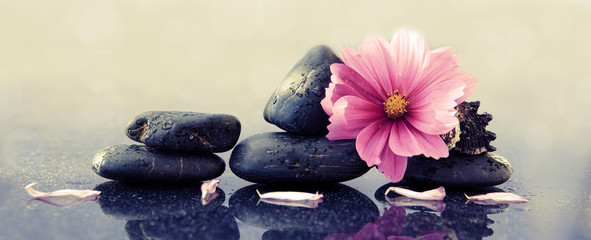 Fototapeta na wymiar Black spa stones and pink cosmos flower.