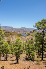 Fototapeta na wymiar Gran Canaria Landschaft pur!