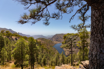 Gran Canaria Landschaft pur!