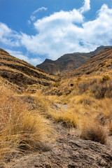 Gran Canaria im Westen