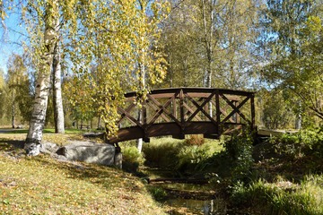 Fototapeta na wymiar The path to the other side. Yellowish leaves, birch trees and wooden bridge in a sunny autumn day.