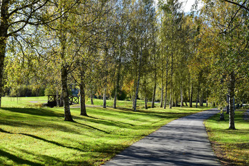 Serenity in the path you take. It was a calm moment to walk through this path during a sunny autumn day. Trees becoming yellow and starting to fall.