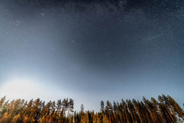 A very shiny moon and a lot of stars just above pine tree forest at swedish countryside at the beginning of autumn, West Bothnia province, north of Sweden