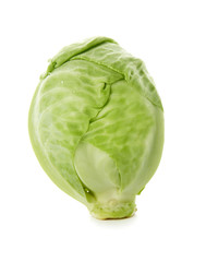 Fototapeta premium Fresh ripe cabbage on white background