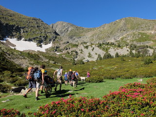 Randonn&eacute;e de la solidarit&eacute; avec des personnes handicap&eacute;es en fauteuil joelette en montagne au canigou