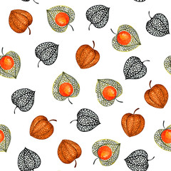 Seamless pattern with physalis. Watercolor illustration.
Autumn illustration for printing. Botanical background.