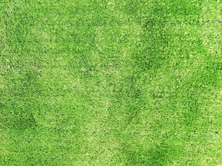 Green artificial grass for the background.