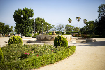 Fototapeta premium Park