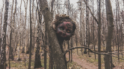 Old damaged burnt head from a baby doll on a tree