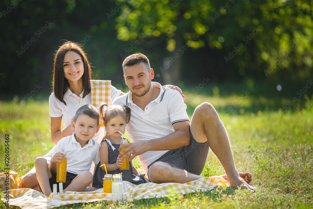 Wall mural happy family on picnic