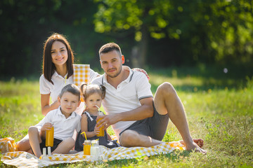 Happy family on picnic