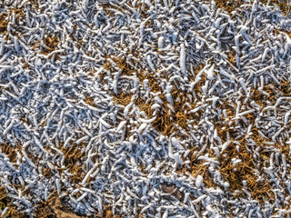 Snow on grass in winter