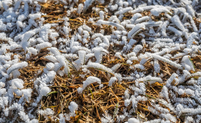 Snow on grass in winter