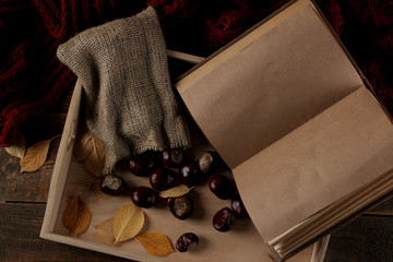 Autumn composition with a warm tray and chestnuts and a book on a brown wooden background