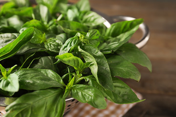 Colander with fresh green basil on table, closeup