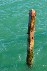 Wooden Poles & Structures