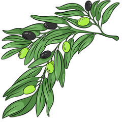 branch with green and black olives