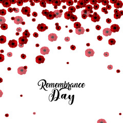 red flower on white background for remembrance day, 11th of November