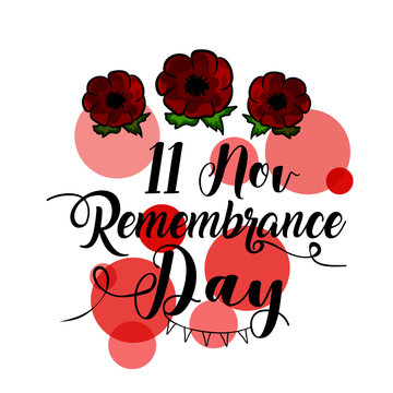 red flower on white background for remembrance day, 11th of November