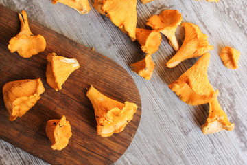 chanterelles