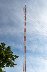 Antena de radio