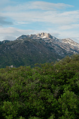 Lone Peak Mountain over a Scrub Oak Forest