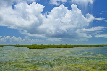 Marsh and clouds 430