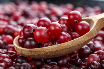 lots of fresh cranberries