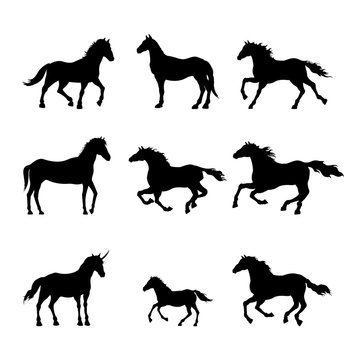 Collection of black silhouettes of horses. Isolated detailed drawing of mustang on white background. Side view. Western landscape