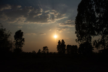 sunset in the forest. sunset sky background.