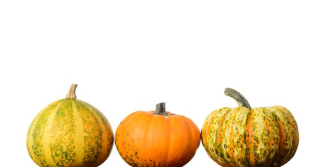 Zierkürbisse, freigestellt vor weißen Hintergrund