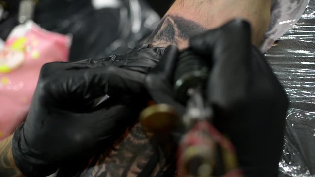 Tattoo Artist Master Make Tattoo of Wolf on Forearm - studio