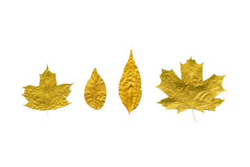 Autumn metallic gold copper leaves set isolated on white. Different fall metallic paint leaves kit...